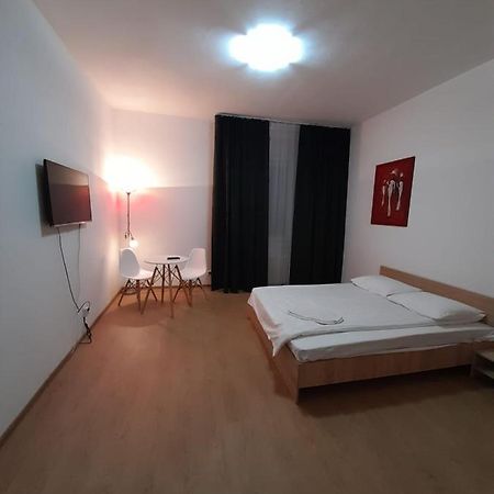 Piata Unirii- 1 Room Studio Apartment Timisoara Exterior foto