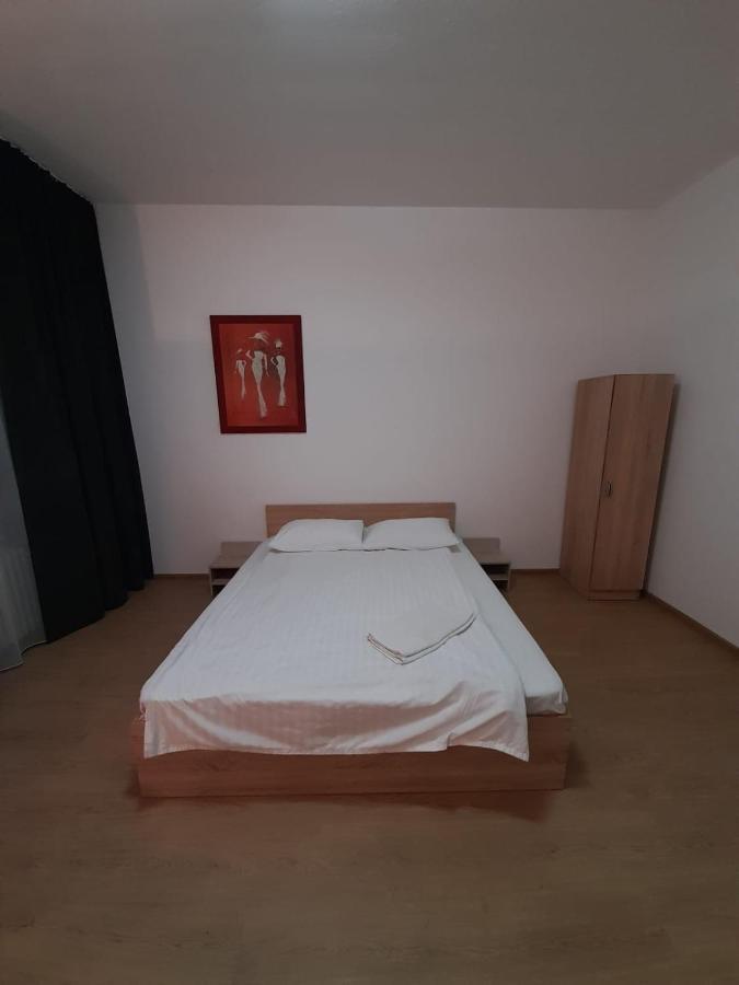 Piata Unirii- 1 Room Studio Apartment Timisoara Exterior foto
