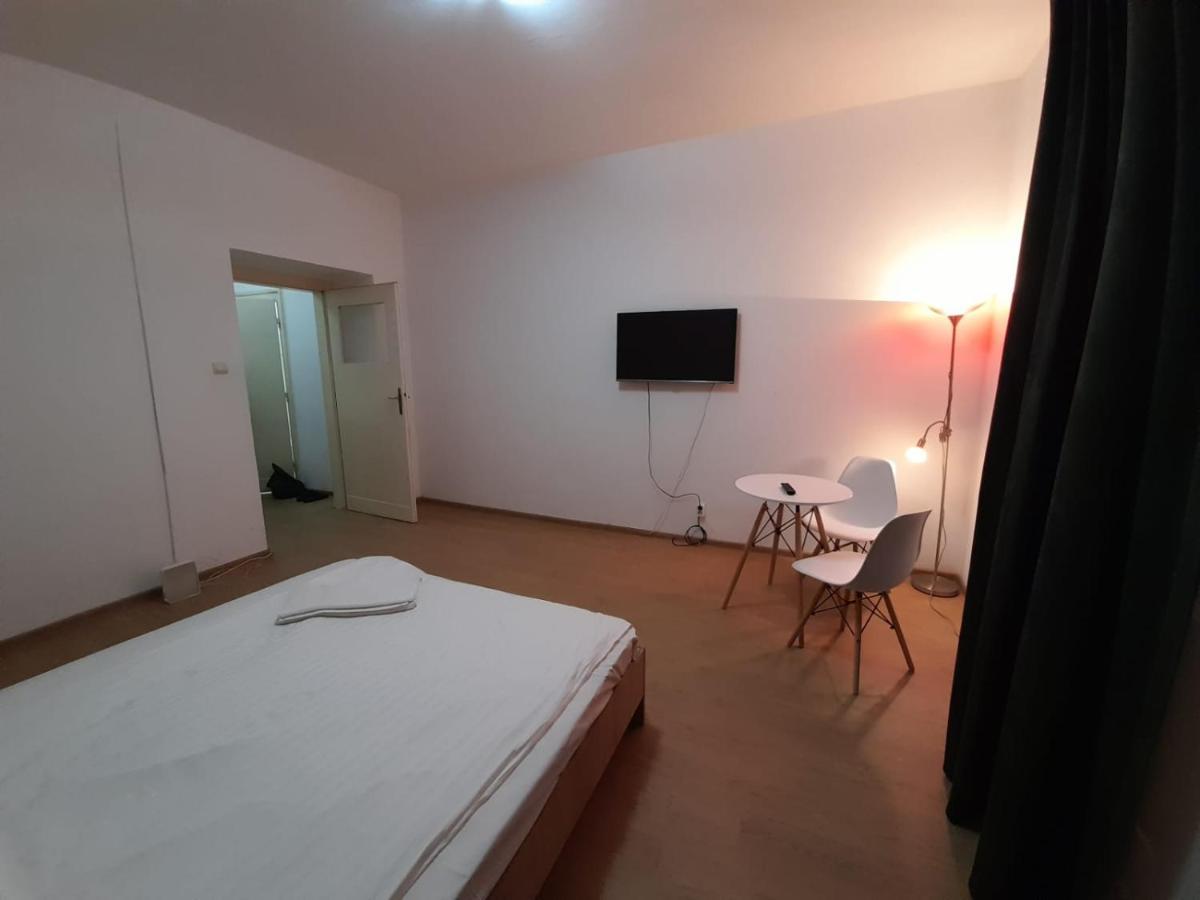 Piata Unirii- 1 Room Studio Apartment Timisoara Exterior foto