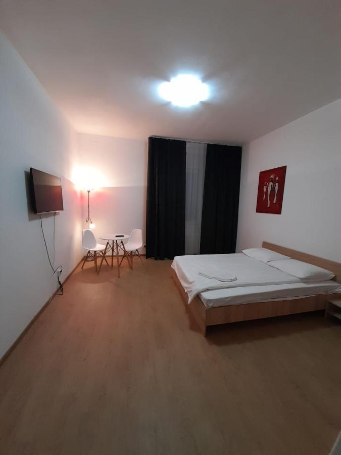 Piata Unirii- 1 Room Studio Apartment Timisoara Exterior foto
